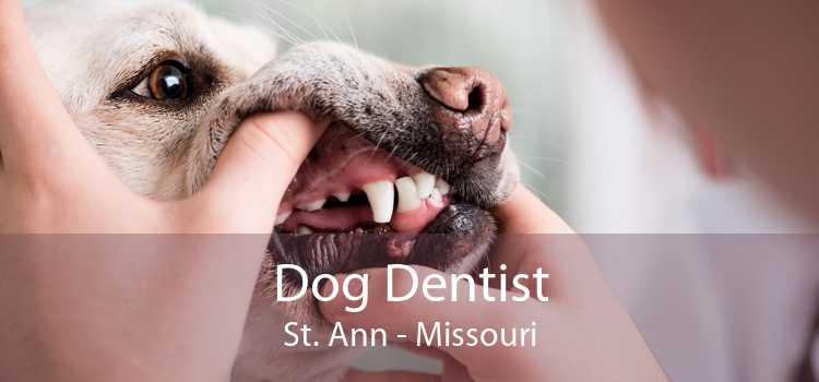 Dog Dentist St. Ann - Missouri