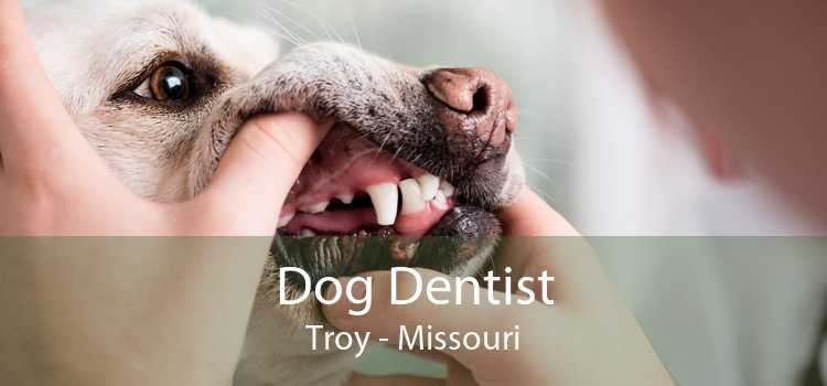 Dog Dentist Troy - Missouri