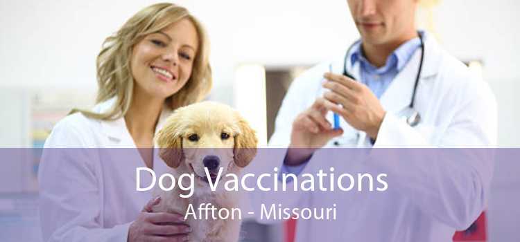 Dog Vaccinations Affton - Missouri