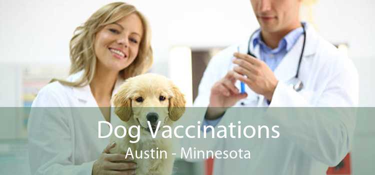 Dog Vaccinations Austin - Minnesota