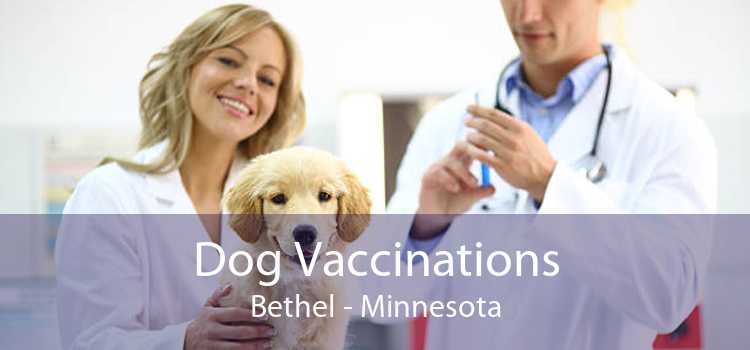 Dog Vaccinations Bethel - Minnesota