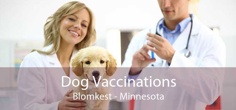 Dog Vaccinations Blomkest - Minnesota