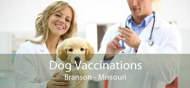 Dog Vaccinations Branson - Missouri