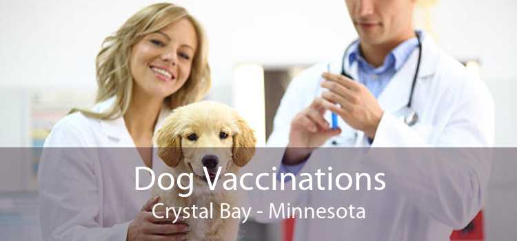 Dog Vaccinations Crystal Bay - Minnesota