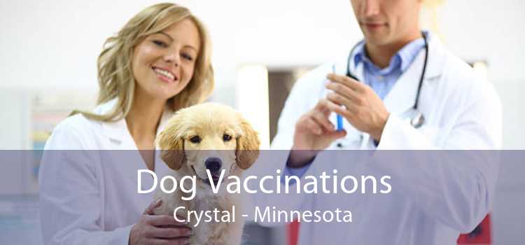 Dog Vaccinations Crystal - Minnesota