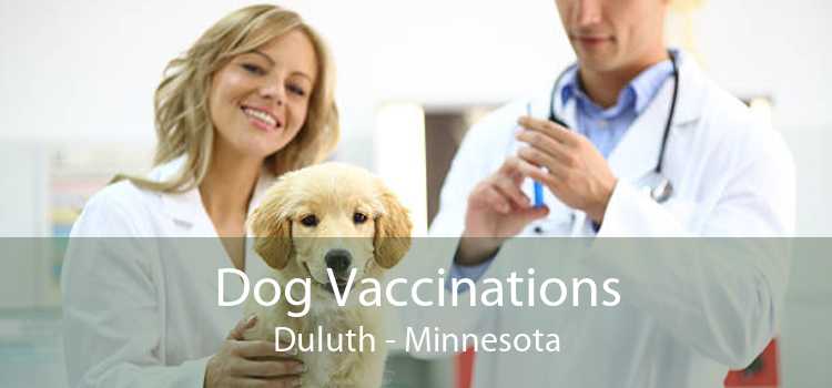 Dog Vaccinations Duluth - Minnesota
