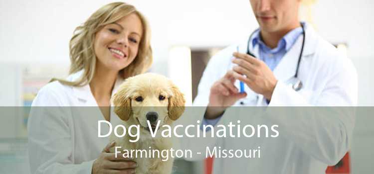 Dog Vaccinations Farmington - Missouri