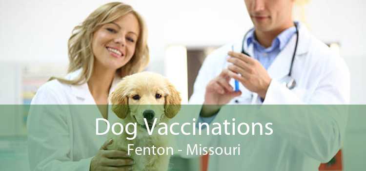 Dog Vaccinations Fenton - Missouri
