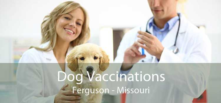 Dog Vaccinations Ferguson - Missouri