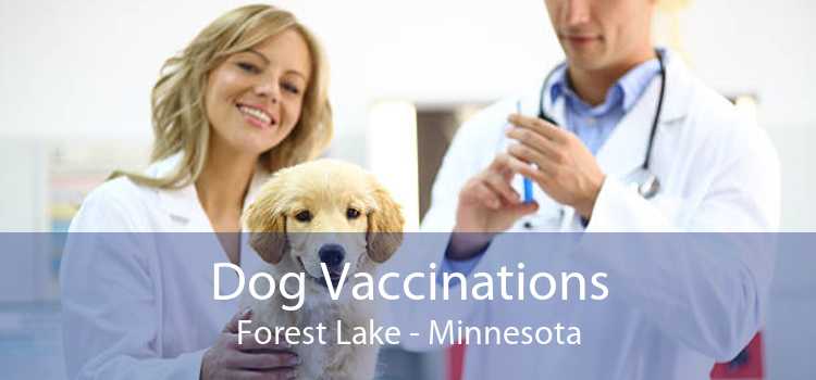 Dog Vaccinations Forest Lake - Minnesota