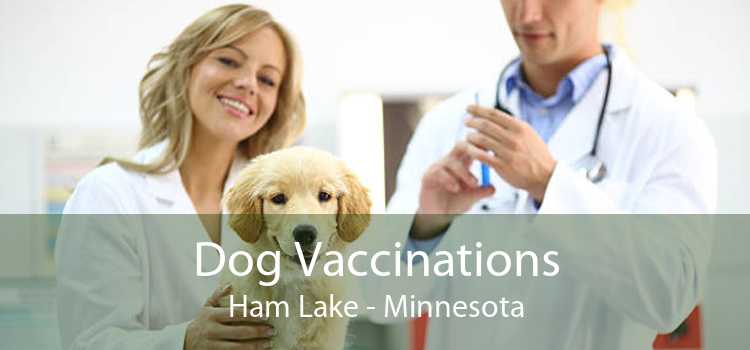 Dog Vaccinations Ham Lake - Minnesota