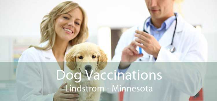 Dog Vaccinations Lindstrom - Minnesota