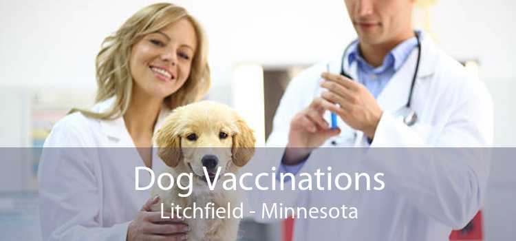 Dog Vaccinations Litchfield - Minnesota