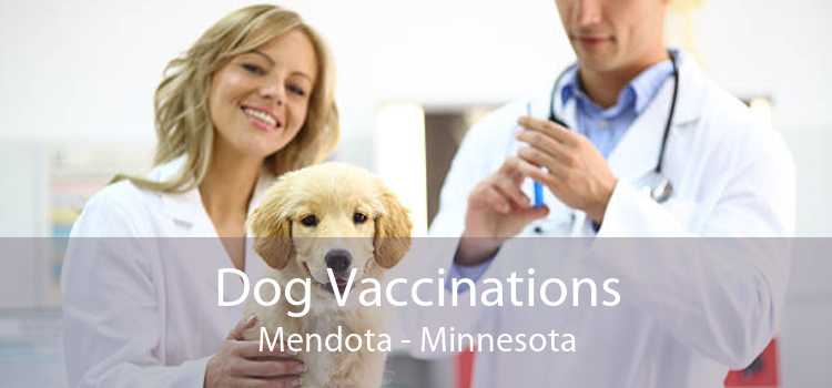 Dog Vaccinations Mendota - Minnesota