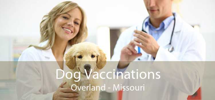 Dog Vaccinations Overland - Missouri