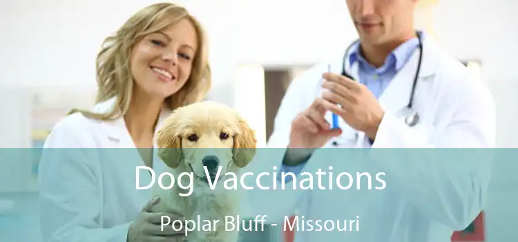 Dog Vaccinations Poplar Bluff - Missouri