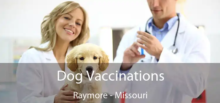 Dog Vaccinations Raymore - Missouri