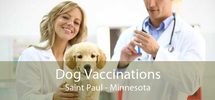 Dog Vaccinations Saint Paul - Minnesota