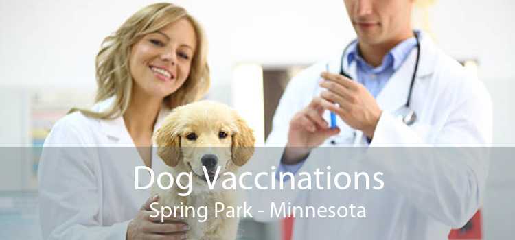 Dog Vaccinations Spring Park - Minnesota