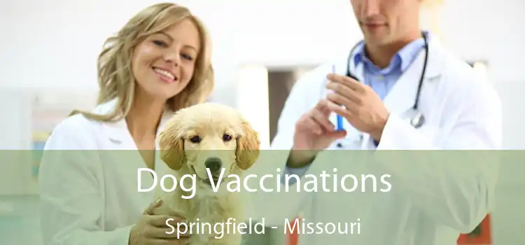 Dog Vaccinations Springfield - Missouri