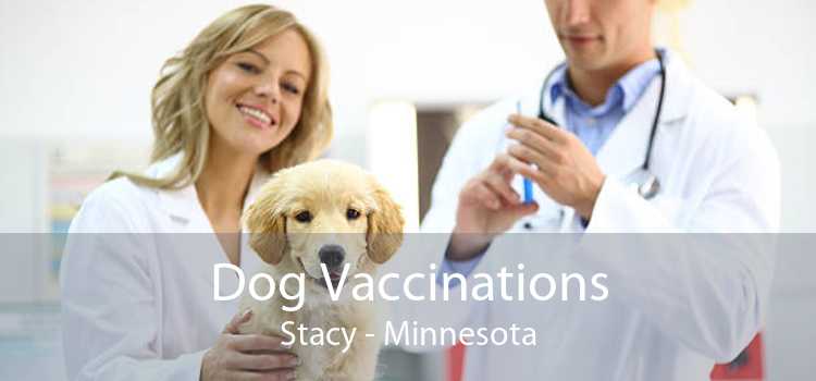 Dog Vaccinations Stacy - Minnesota