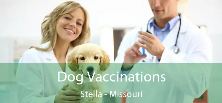 Dog Vaccinations Stella - Missouri