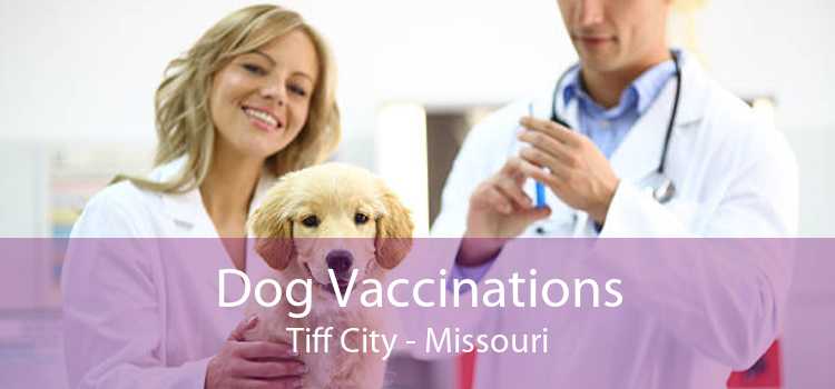 Dog Vaccinations Tiff City - Missouri