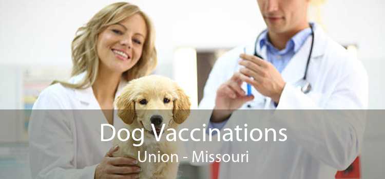 Dog Vaccinations Union - Missouri