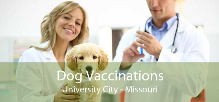 Dog Vaccinations University City - Missouri