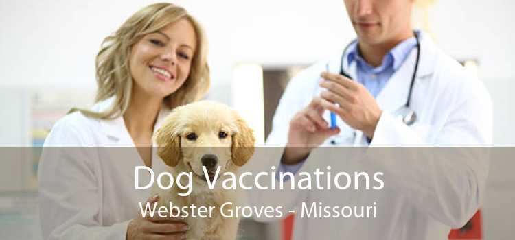 Dog Vaccinations Webster Groves - Missouri