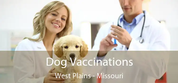 Dog Vaccinations West Plains - Missouri