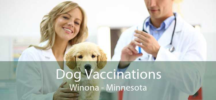 Dog Vaccinations Winona - Minnesota