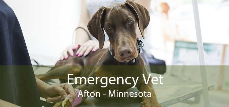 Emergency Vet Afton - Minnesota