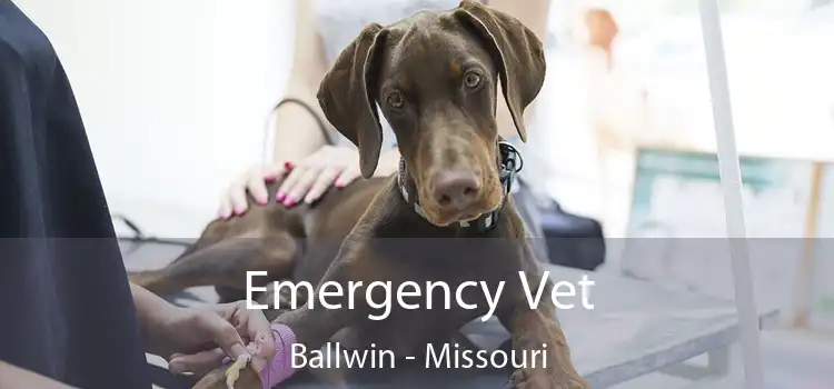 Emergency Vet Ballwin - Missouri