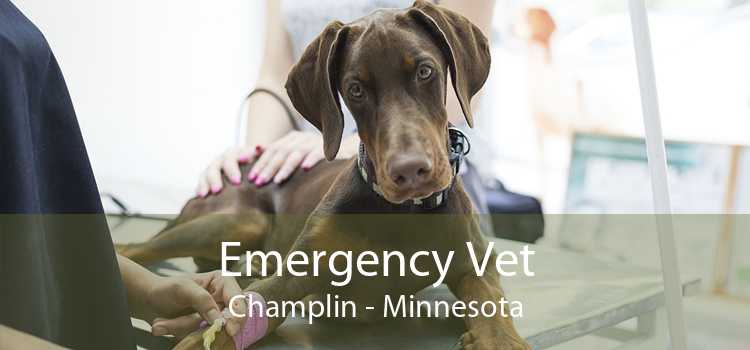 Emergency Vet Champlin - Minnesota