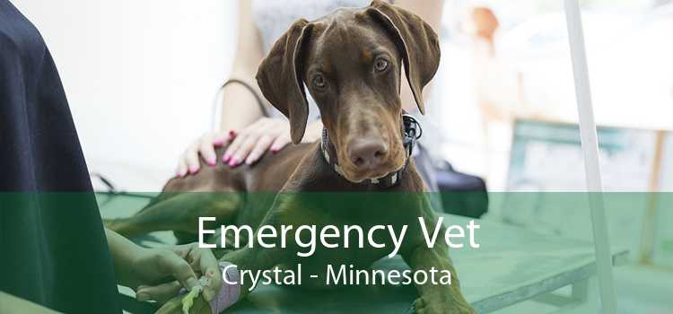 Emergency Vet Crystal - Minnesota