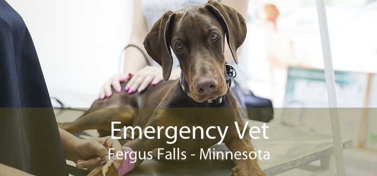 Emergency Vet Fergus Falls - Minnesota