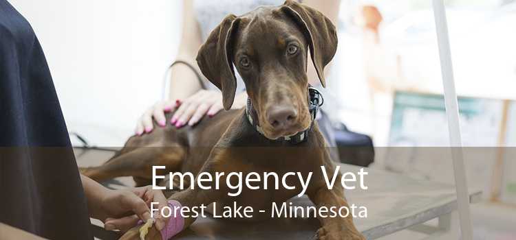 Emergency Vet Forest Lake - Minnesota