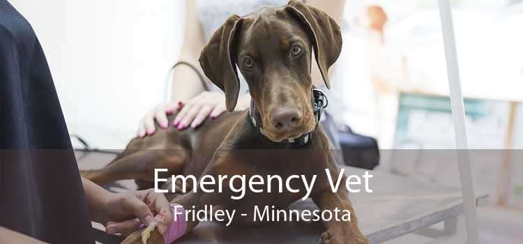 Emergency Vet Fridley - Minnesota