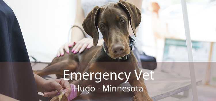 Emergency Vet Hugo - Minnesota
