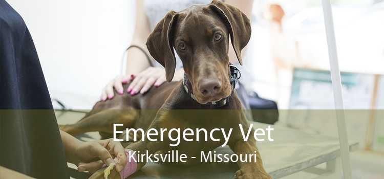 Emergency Vet Kirksville - Missouri