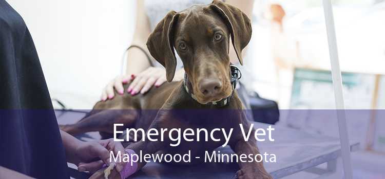 Emergency Vet Maplewood - Minnesota