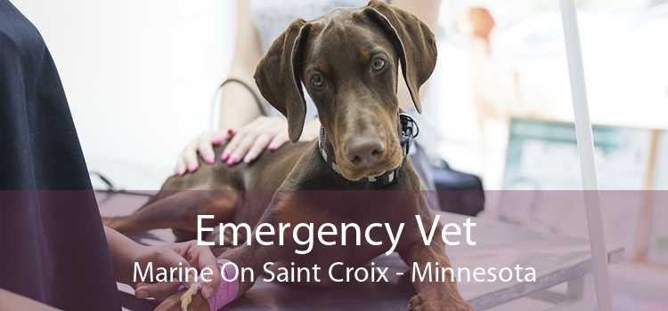 Emergency Vet Marine On Saint Croix - Minnesota