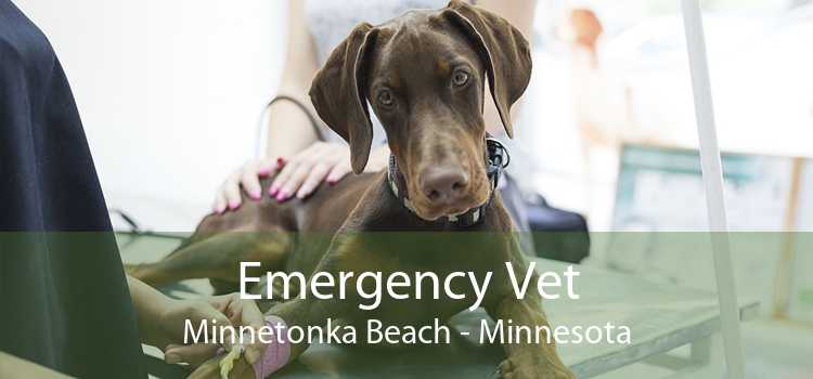 Emergency Vet Minnetonka Beach - Minnesota