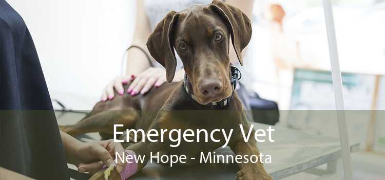 Emergency Vet New Hope - Minnesota