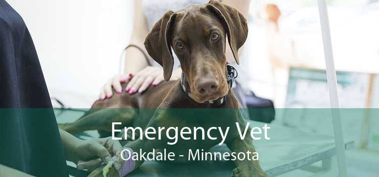 Emergency Vet Oakdale - Minnesota