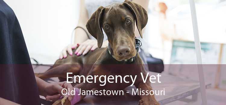 Emergency Vet Old Jamestown - Missouri