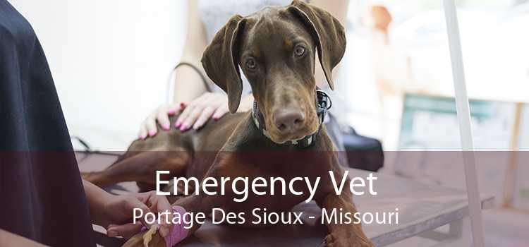Emergency Vet Portage Des Sioux - Missouri