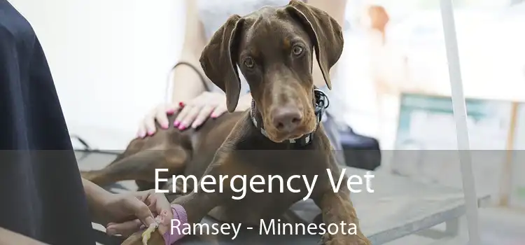 Emergency Vet Ramsey - Minnesota
