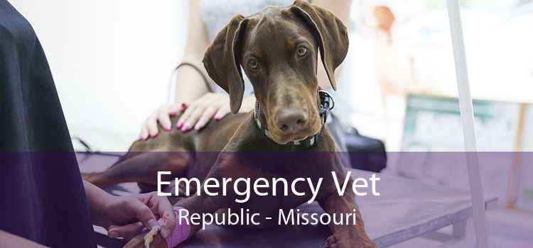 Emergency Vet Republic - Missouri